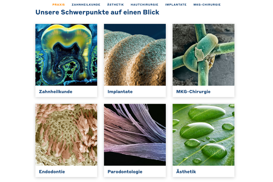 Quelle: Science Photo Library